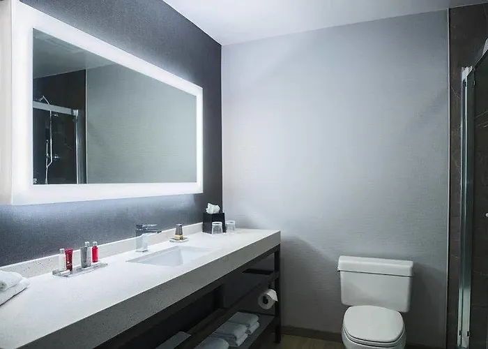 Courtyard By Marriott At Medical District-uic 3*